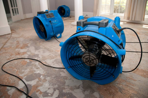 Best 24/7 water damage repair  in Hermosa Beach, CA
