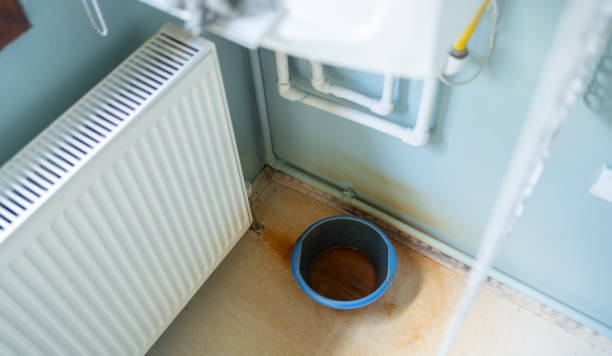 Best Ceiling water damage repair  in Hermosa Beach, CA