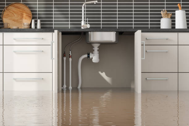 Best Residential water damage restoration  in Hermosa Beach, CA
