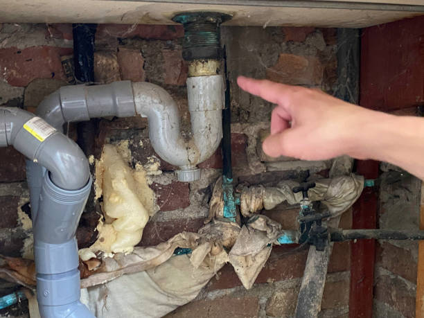 Best Mold removal after water damage  in Hermosa Beach, CA