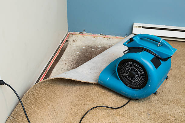  Hermosa Beach, CA Water damage restoration Pros